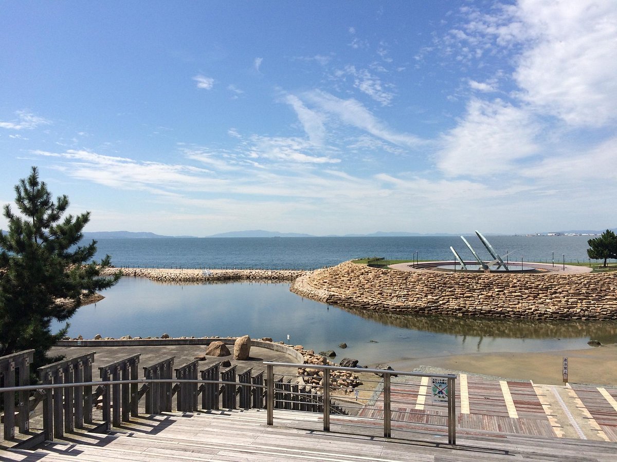 ✈️ 센다이 공항 린쿠 공원 (센다이 쿠코 린쿠 코엔) 이미지 7